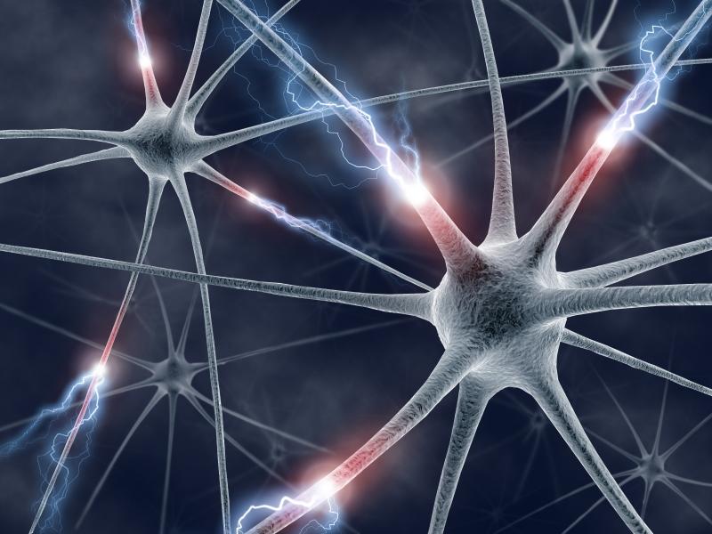 Res_4007689_brains_neuron_iStock_000004422514Small